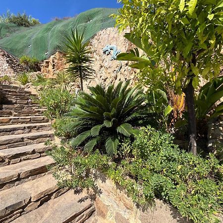 Meuble Tourisme 4*, Les Pieds Dans L'Eau, Villa Las Palmeras لا لوند-ليه-مور المظهر الخارجي الصورة