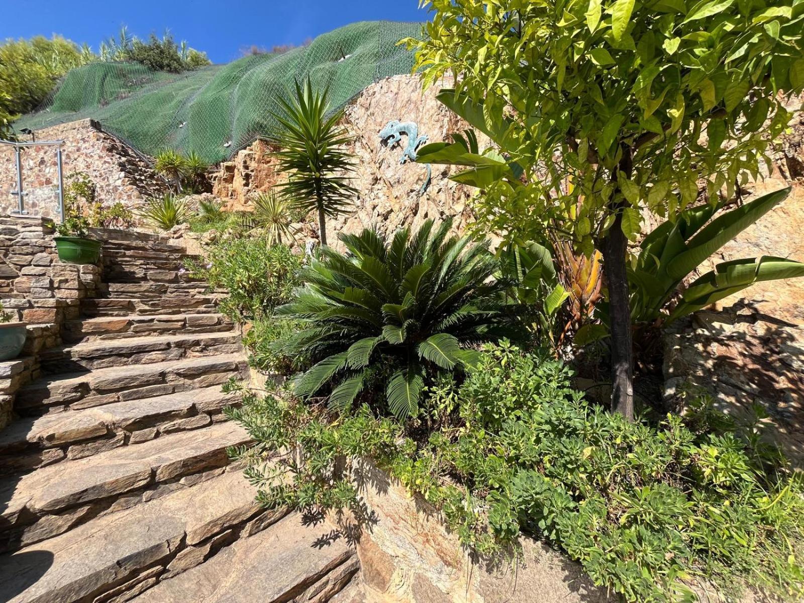 Meuble Tourisme 4*, Les Pieds Dans L'Eau, Villa Las Palmeras لا لوند-ليه-مور المظهر الخارجي الصورة